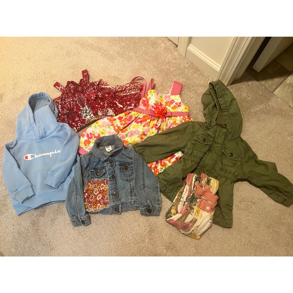 Toddler Girls Clothing Bundle Youngland Champion Burts Bees Old Navy